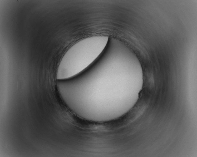 X0000088190224200705151006