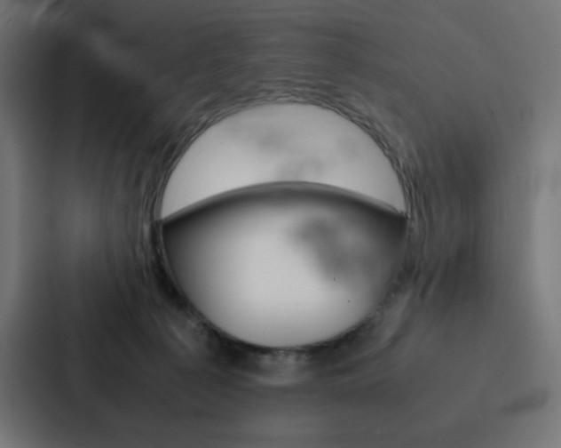 X0000088190225200705151006