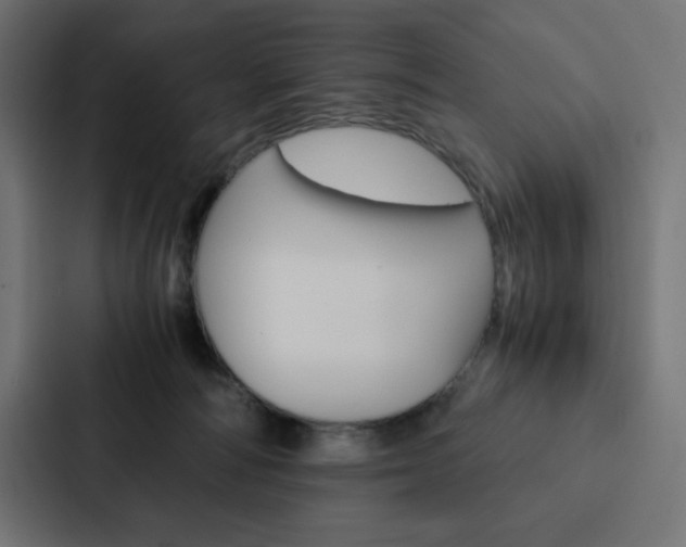 X0000088190226200705151005