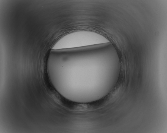 X0000088190227200705151005