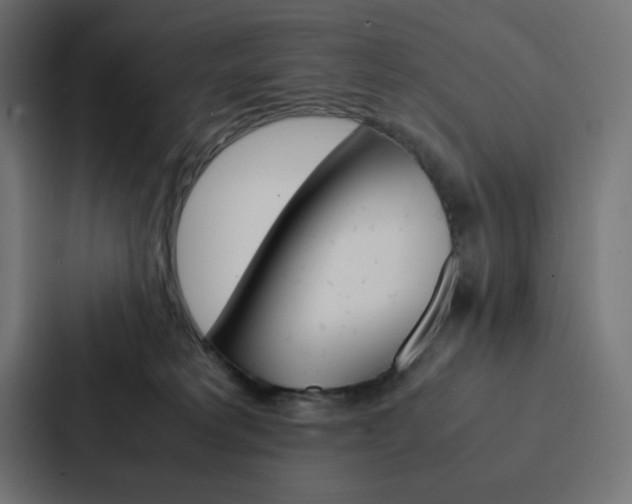 X0000088190229200705151005