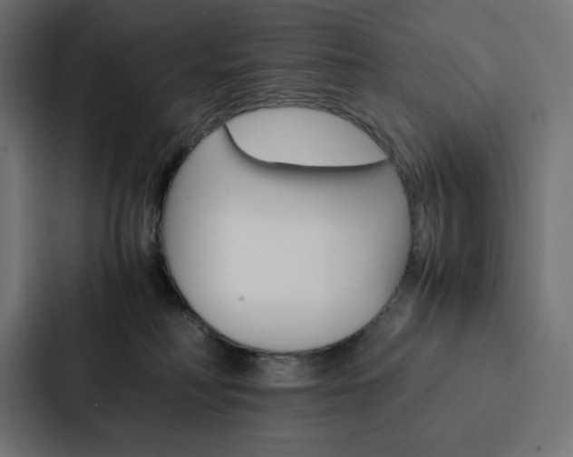 X0000088190230200705151005