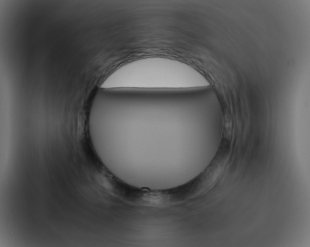 X0000088190231200705151005