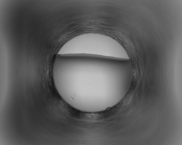 X0000088190233200705151005