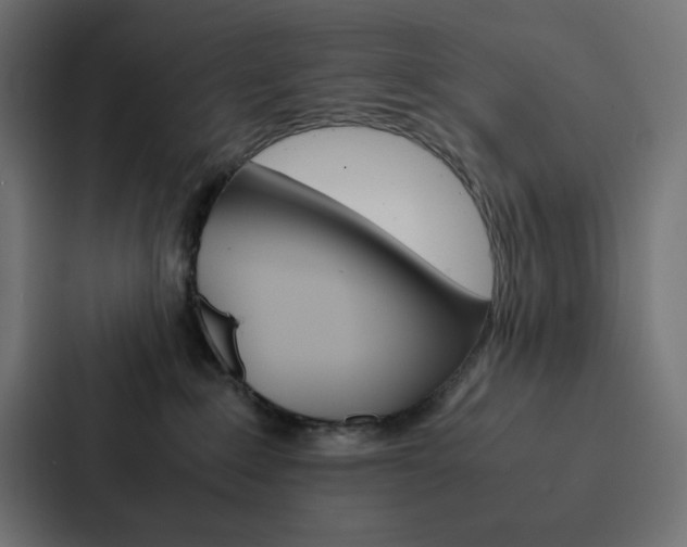 X0000088190235200705151005