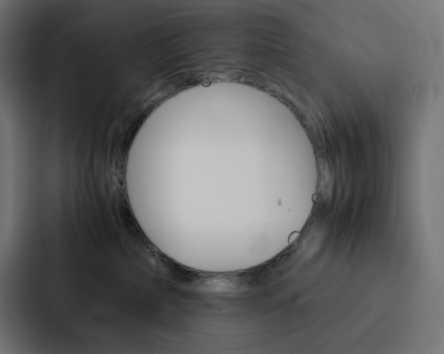 X0000088190236200705151005
