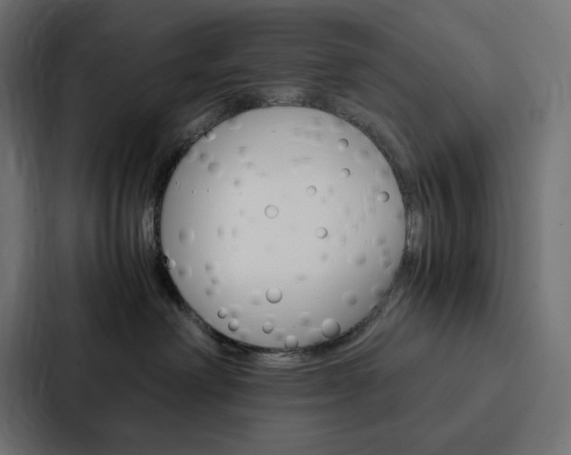 X0000088190238200705151005
