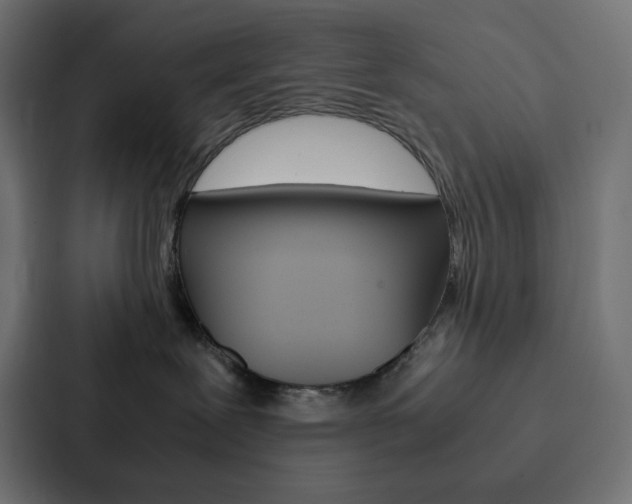 X0000088190239200705151005