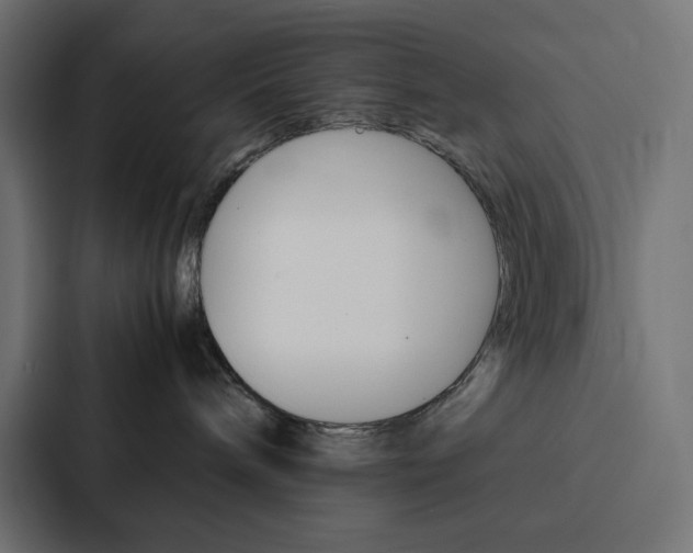 X0000088190240200705151005