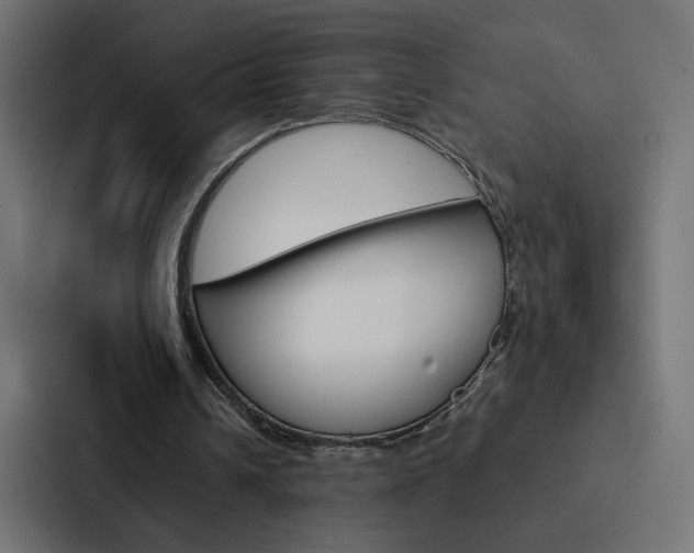 X0000088190242200705151005