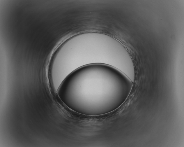 X0000088190244200705151005