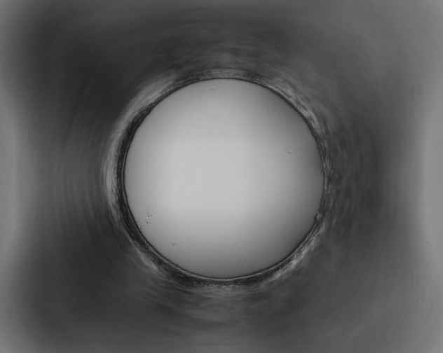 X0000088190245200705151005