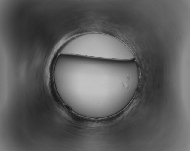 X0000088190246200705151005