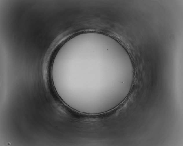 X0000088190247200705151005