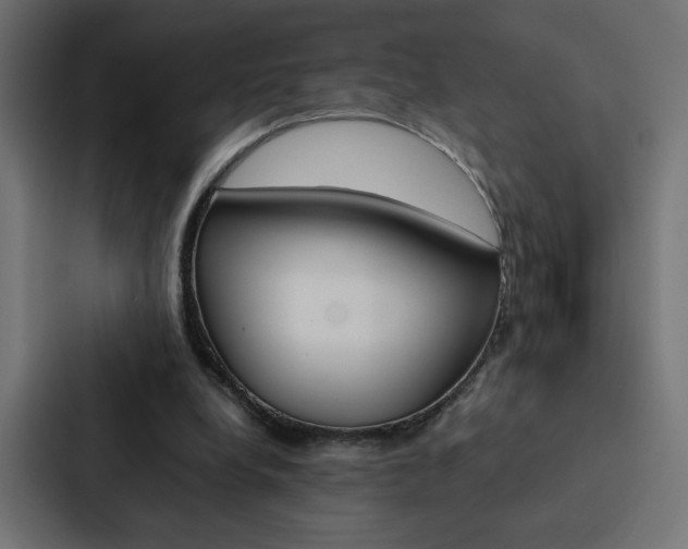 X0000088190248200705151005