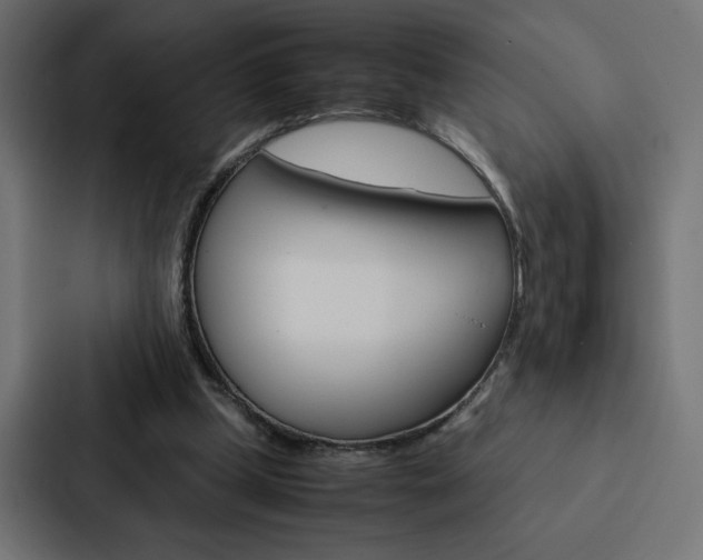 X0000088190249200705151005