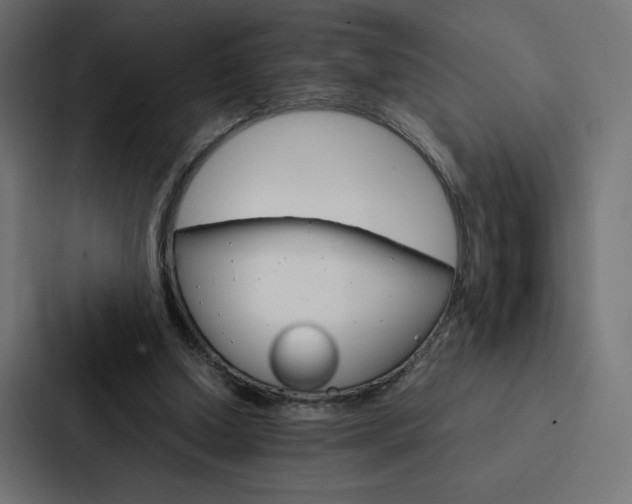 X0000088190250200705151005