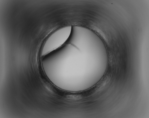 X0000088190251200705151005