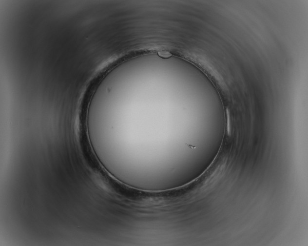 X0000088190252200705151005