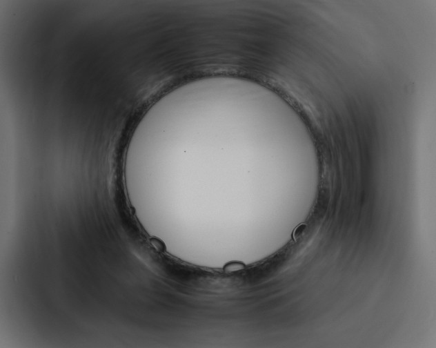 X0000088190255200705151005