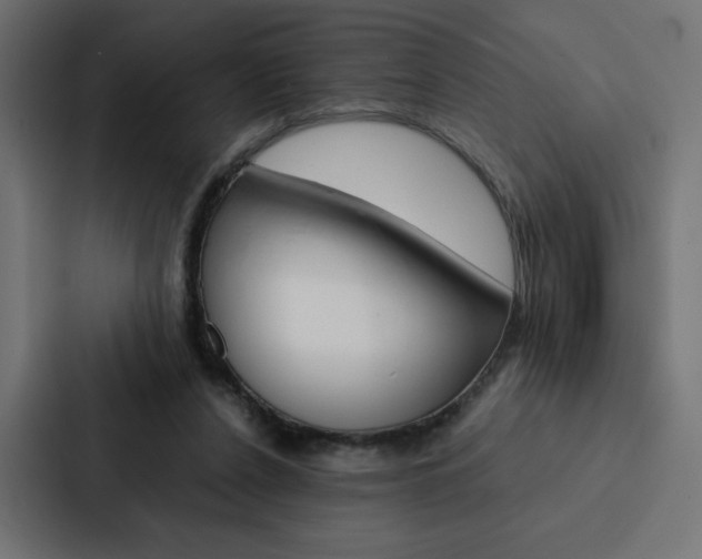 X0000088190256200705151005