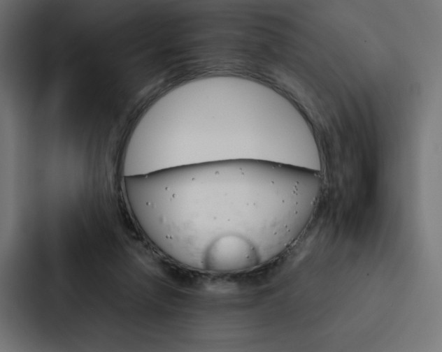 X0000088190258200705151005
