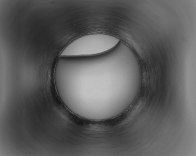 X0000088190259200705151005