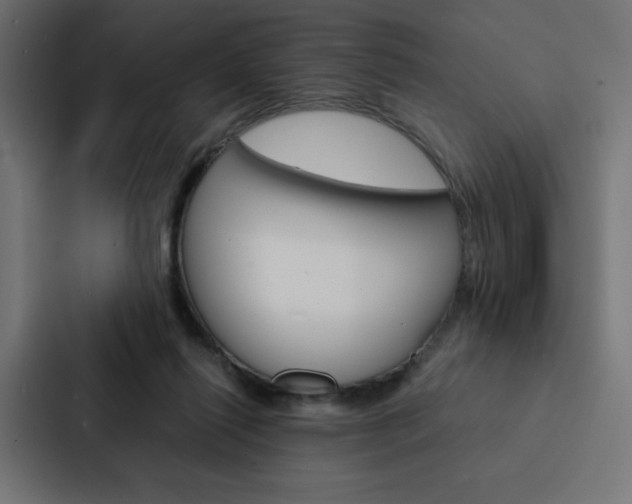 X0000088190262200705151005