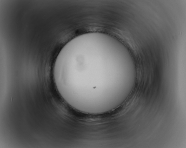 X0000088190263200705151005