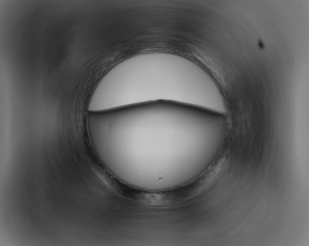 X0000088190265200705151005