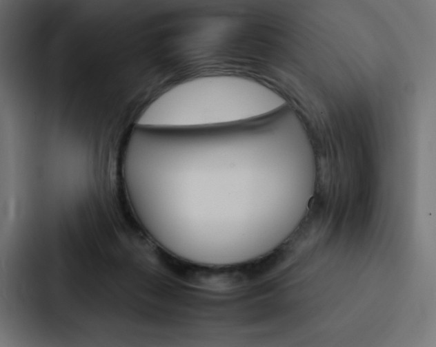 X0000088190267200705151005
