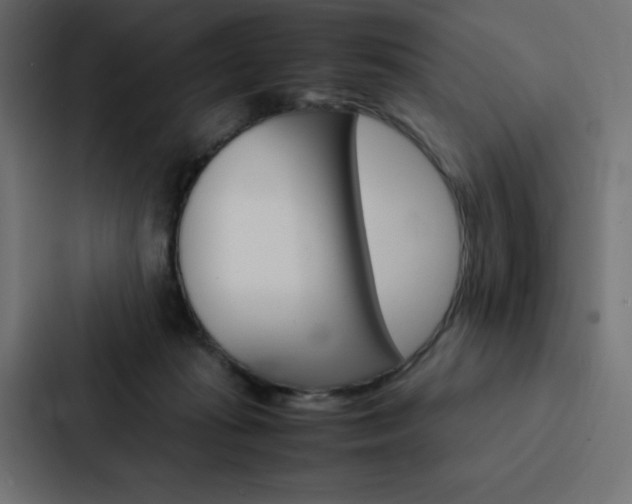 X0000088190269200705151005