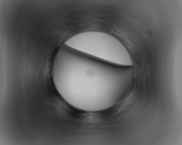 X0000088190273200705151005