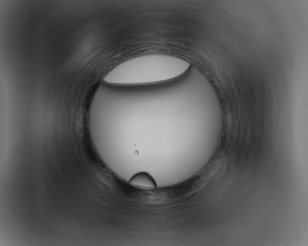 X0000088190275200705151005
