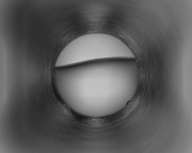 X0000088190277200705151005