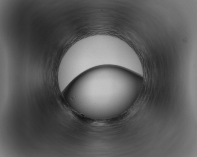 X0000088190280200705151005