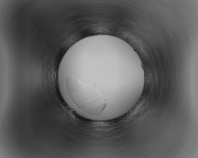 X0000088190281200705151005