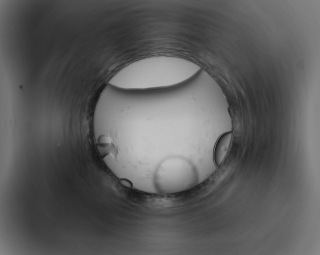 X0000088190282200705151005