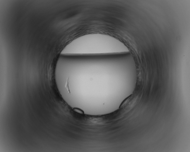 X0000088190283200705151005