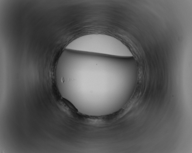 X0000088190284200705151005