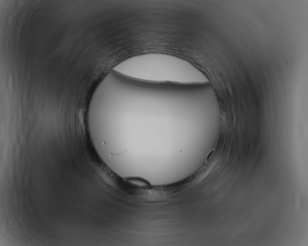 X0000088190286200705151005