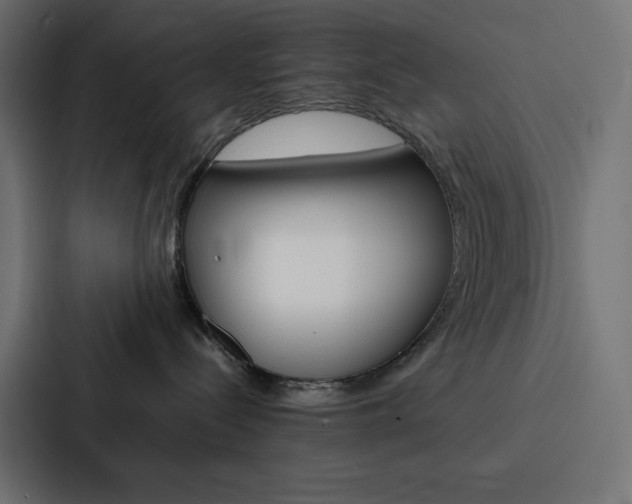 X0000088190288200705151005