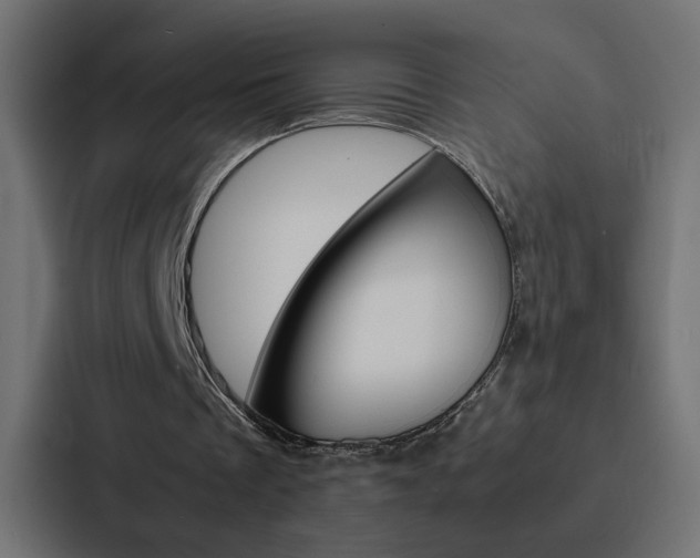 X0000088190289200705151005