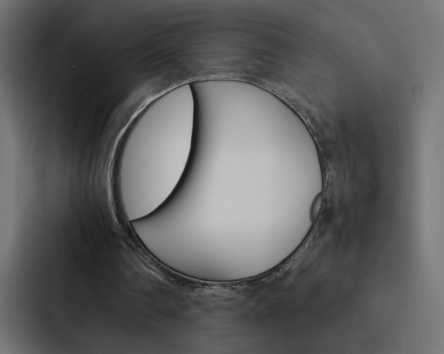 X0000088190290200705151005