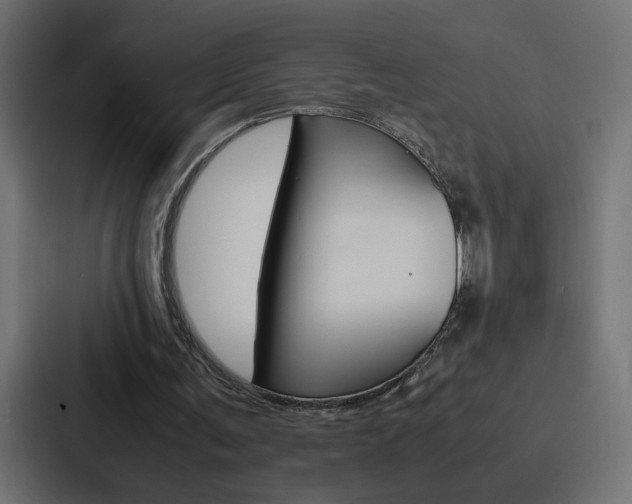 X0000088190291200705151005