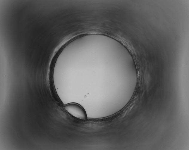 X0000088190292200705151005