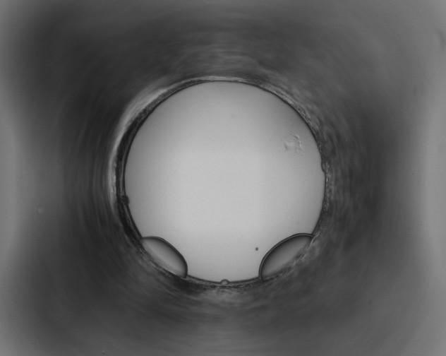 X0000088190294200705151005