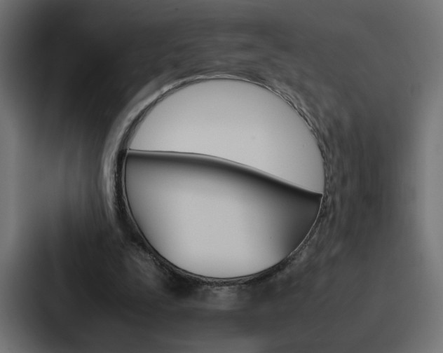 X0000088190295200705151005