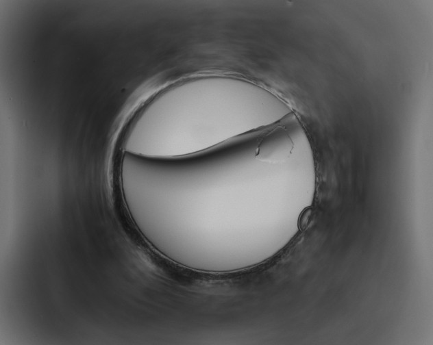 X0000088190296200705151005