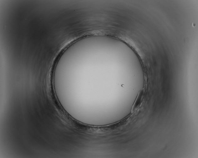 X0000088190297200705151005